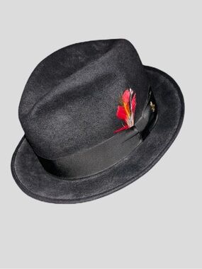 Vtg Champ Kasmir Feel the Felt Fedora Hat Size 7 Red Feather trim Bird Pin Black